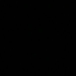 Meet your Posher, King